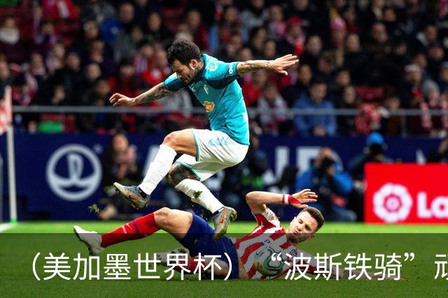 （美加墨世界杯）“波斯铁骑”顽强两连平 伊朗队期待更进一步